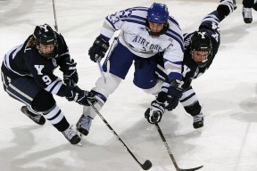 骑士老将主动担任训练指导带动全队投入，骑士现任主教练是谁